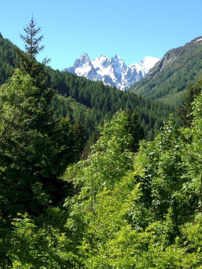 The Guest House Vallorcine Exterior foto